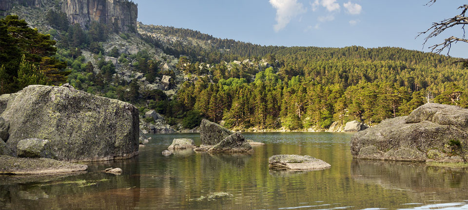 Laguna Negra